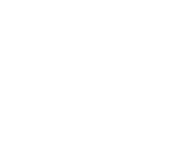 Partnership Icon