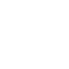 Proven Expertise Icon